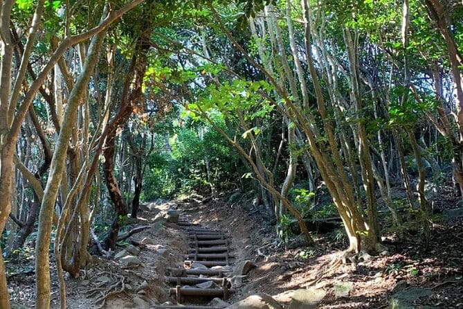 Raizansennyoji Futamigauras Couple Stones Day Tour From Fukuoka - Accessibility Features