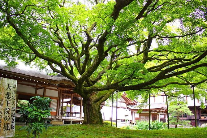 Raizansennyoji Futamigauras Couple Stones Day Tour From Fukuoka - Frequently Asked Questions