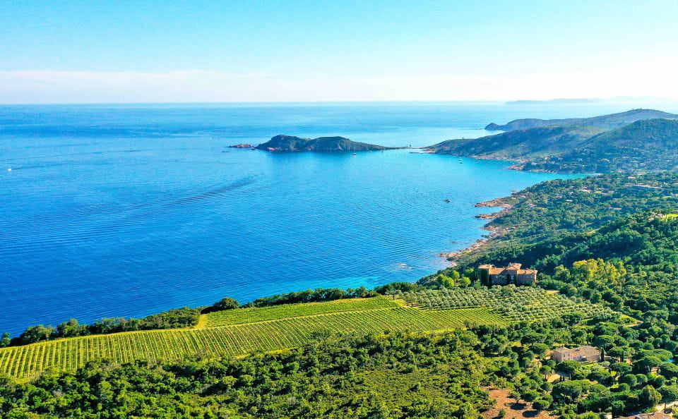 Ramatuelle: Tracks & Tasting Winery Tour by Mountain E-Bike - Highlights of the Tour