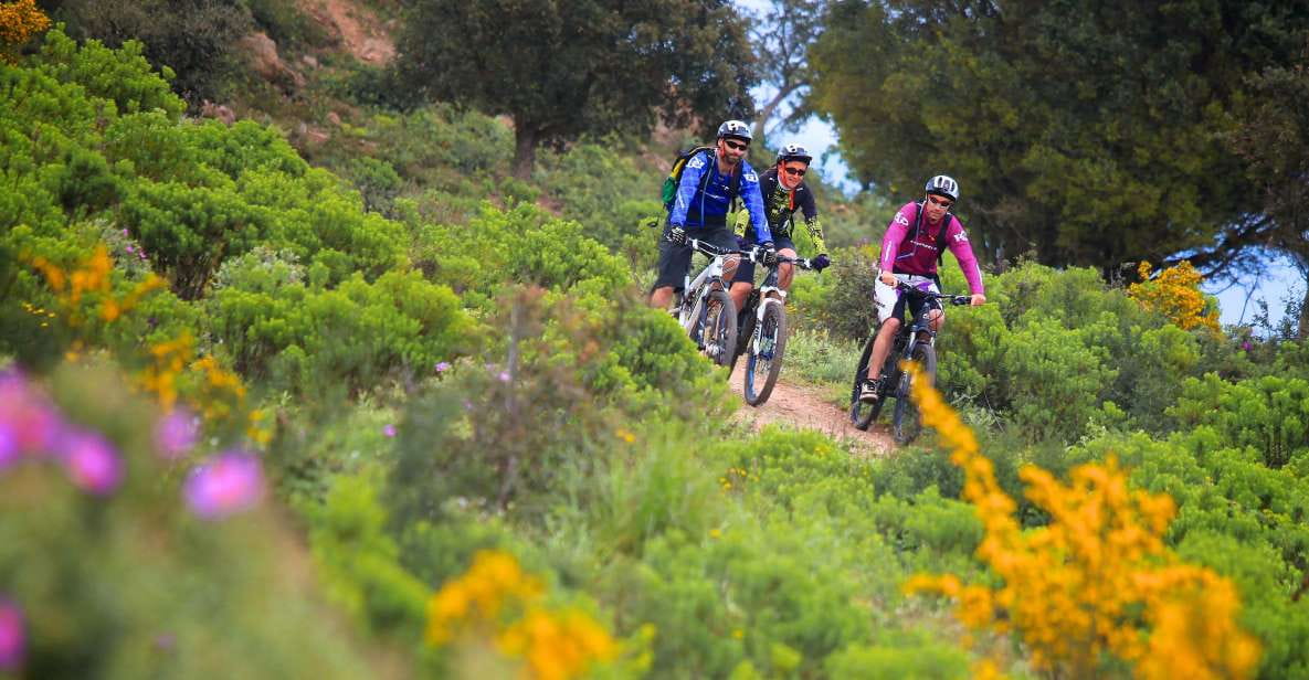 Ramatuelle: Tracks & Tasting Winery Tour by Mountain E-Bike - Biking Terrain and Difficulty
