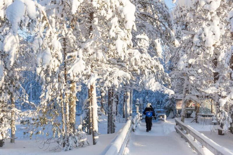 Ranua: Wildlife Park Entrance Ticket - Exploring the Heart of the Arctic in Finland