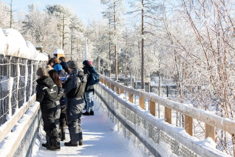 Ranua: Wildlife Park Entrance Ticket - Final Thoughts