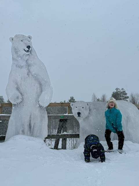 Ranua Wildlife zoo tour with lunch buffet included - Final Thoughts: Is It Worth It?