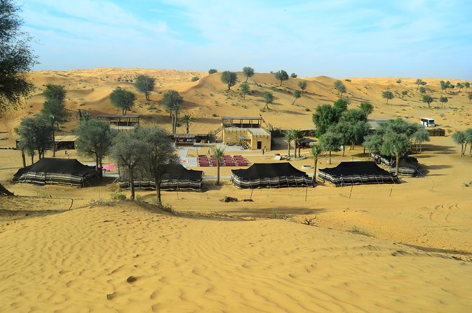 Ras Al Khaimah: Afternoon Desert Safari and BBQ Dinner - Recommendations and Suitability