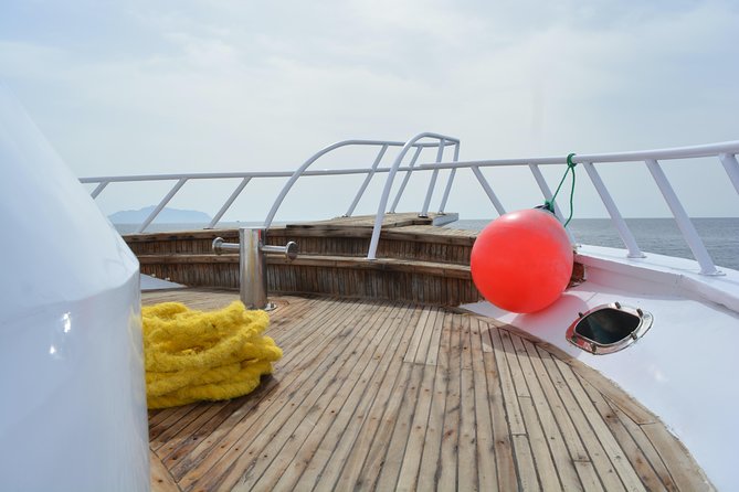 Ras Mohamed & White Island Snorkeling Experience by Yacht - Buffet Lunch and Drinks