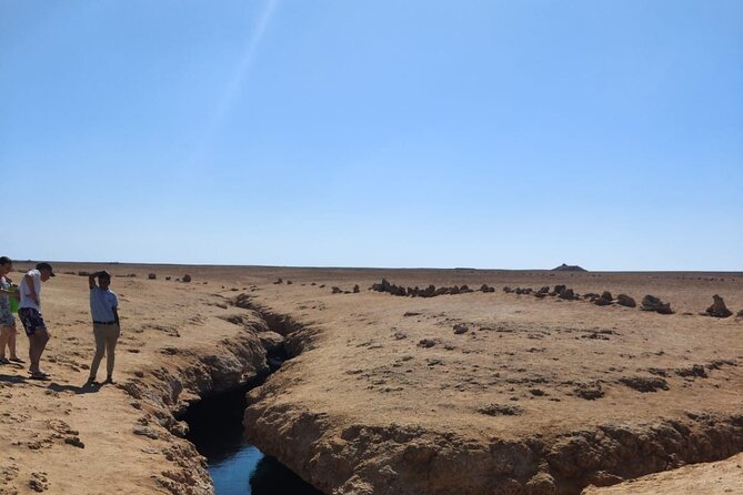 Ras Mohammed National Park Half Day Tour by Bus - Sharm El Sheikh - Exploring Ras Mohammed