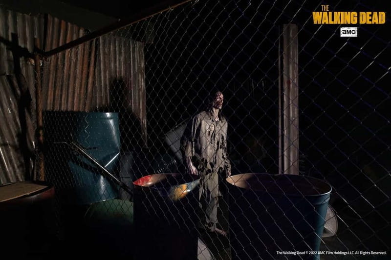 Ravenna: Mirabilandia Park and Ferrari Museum Entry Ticket - Who Will Love This Experience?