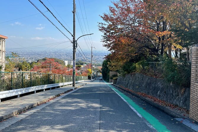 Real-Life Anime Location Visiting in Osaka Private Guided Tour - Tour Highlights and Impressions