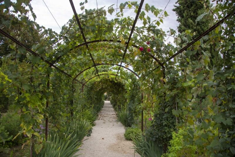 Recanati: Orto sul colle dell'infinito Entry Ticket - Key Points / Takeaways