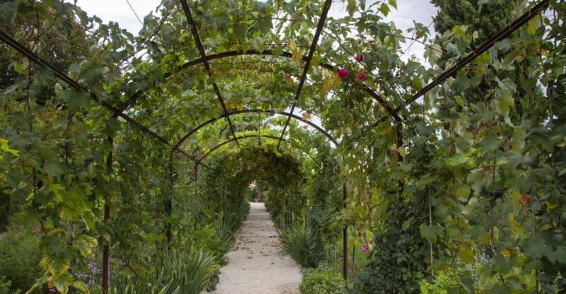 Recanati: Orto sul colle dell'infinito Entry Ticket - How the Tour Works and What to Expect