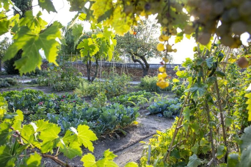 Recanati: Orto sul colle dell'infinito Entry Ticket - FAQ