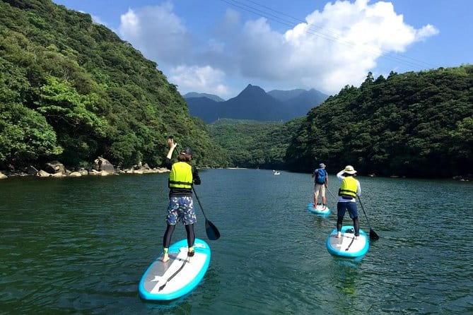 [Recommended on Arrival Date or Before Leaving! ] Relaxing and Relaxing Water Walk Awakawa River SUP [Half Afternoon Tour] - Participant Requirements and Recommendations