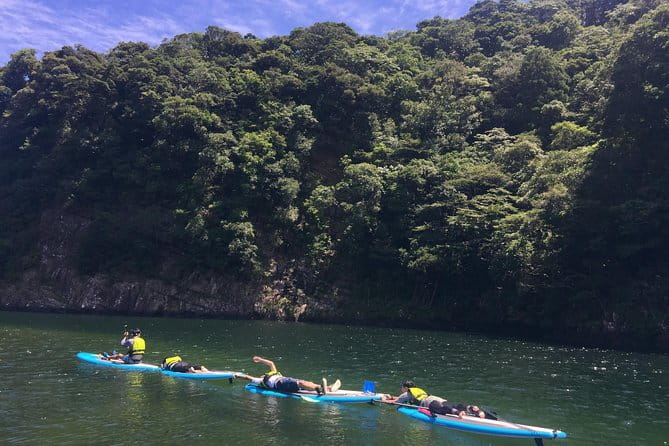 [Recommended on Arrival Date or Before Leaving! ] Relaxing and Relaxing Water Walk Awakawa River SUP [Half-Day Tour] - Stand-Up Paddleboarding Experience
