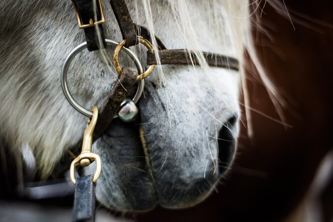 Red Lava Horse Riding Tour From Reykjavik - Tour Details and Inclusions