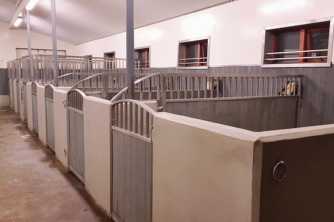 Red Lava Horse Riding Tour From Reykjavik - Scenery and Landscapes