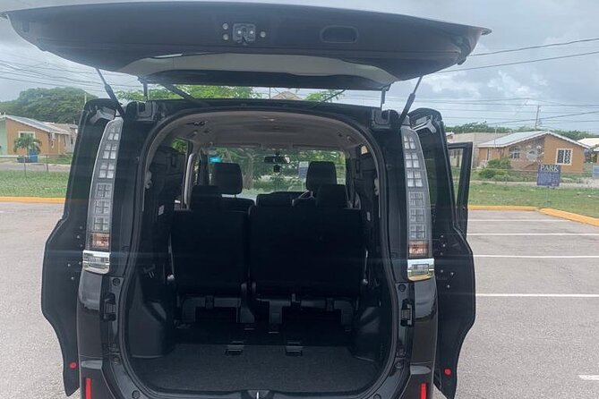 Reggae Sumfest  Event Roundtrip Pickup Service July 14 - 20 - What to Expect