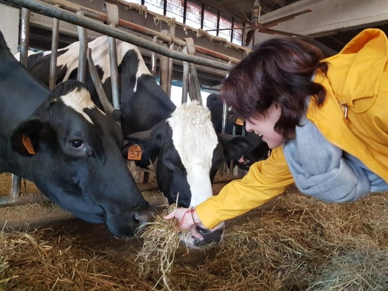 Reggio Emilia: Parmigiano Reggiano & Balsamic Vinegar Tour - The Sum Up