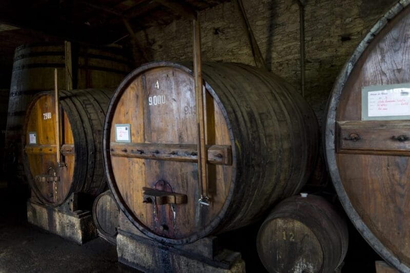 Régua: Wine Tasting at a Farm, Traditional Lunch, Cruise and Train - Key points / Takeaways