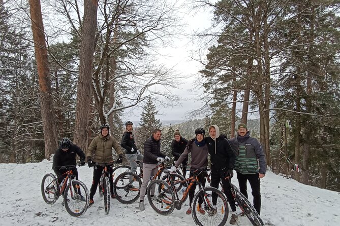 Regular Mountain Bike Tour to Pavilniai Regional Park - Group Size and Accessibility