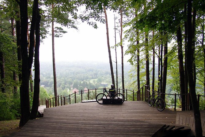 Regular Mountain Bike Tour to Pavilniai Regional Park - Health Considerations