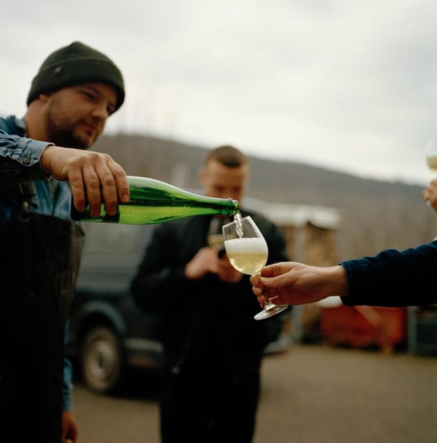 Reil, Mosel: Guided organic wine tasting and cellar tour - Price and logistics