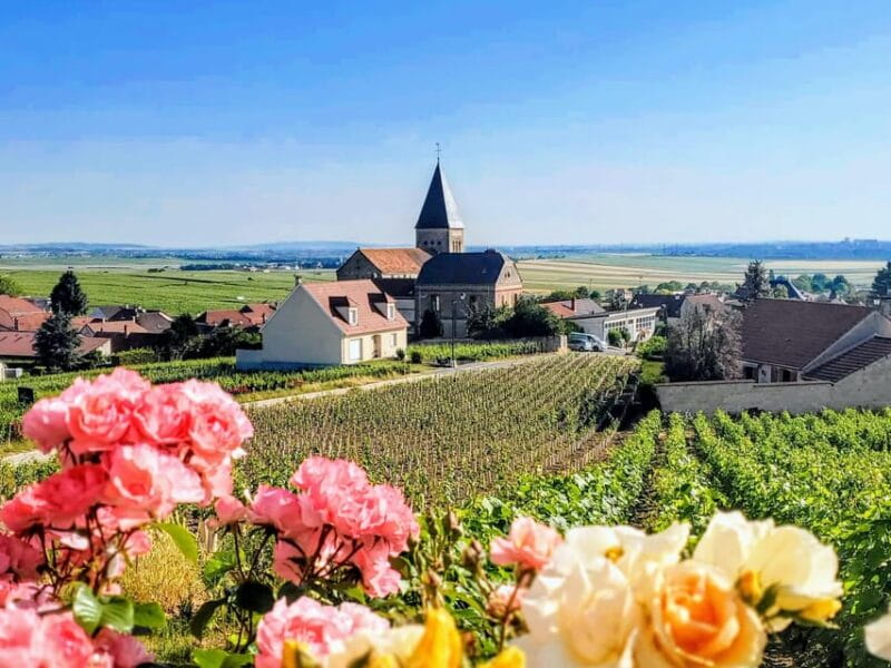 Reims: Veuve Clicquot Tasting Private Tour in Champagne - Key Points / Takeaways