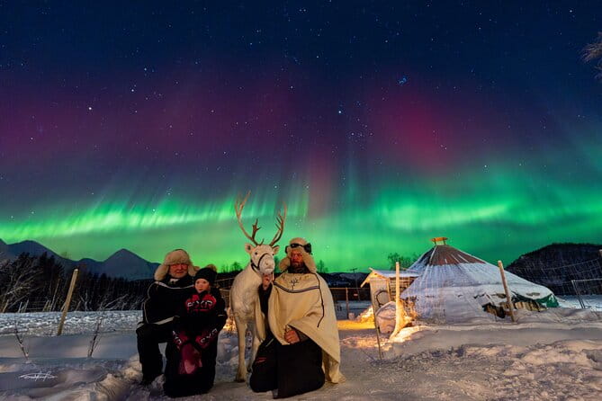 Reindeer Feeding and Sledding, Sami Storytelling Night Tour - Frequently Asked Questions