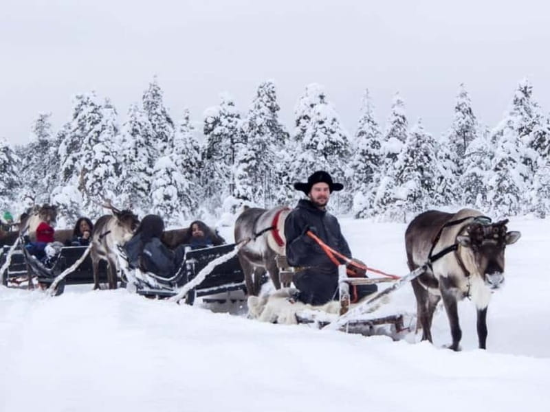 Reindeer Safari at a 200-Year-Old Farm & Long Sled Ride - Who Will Love This Tour?