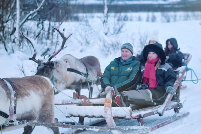 Reindeer Sledding and Feeding with Sami Culture in Tromso. - Key Points