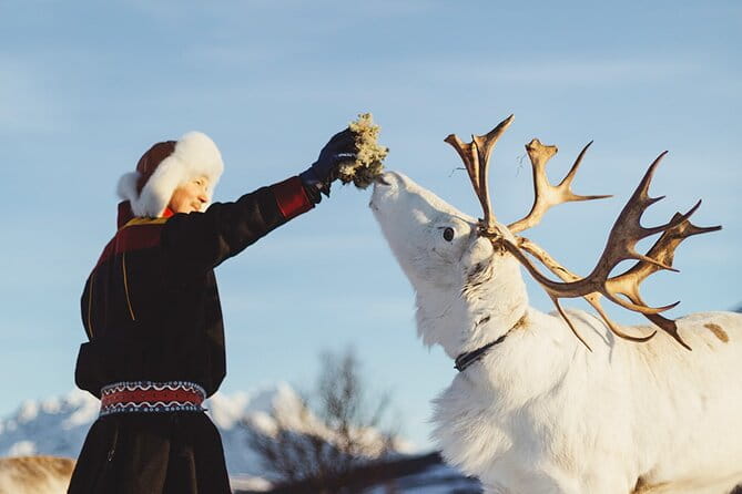 Reindeer Sledding and Feeding with Sami Culture in Tromso. - FAQs