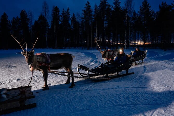 Reindeer sleigh ride across the night in Apukka Resort Rovaniemi - Midway Stop: Reindeer Feeding & Hot Snacks