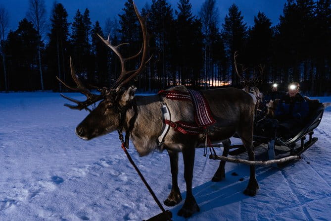 Reindeer sleigh ride across the night in Apukka Resort Rovaniemi - Northern Lights Chance and Weather Considerations