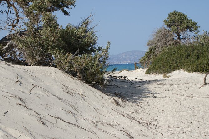 Relax in Nature - Chrissi Island Day Cruise - Location and Transportation