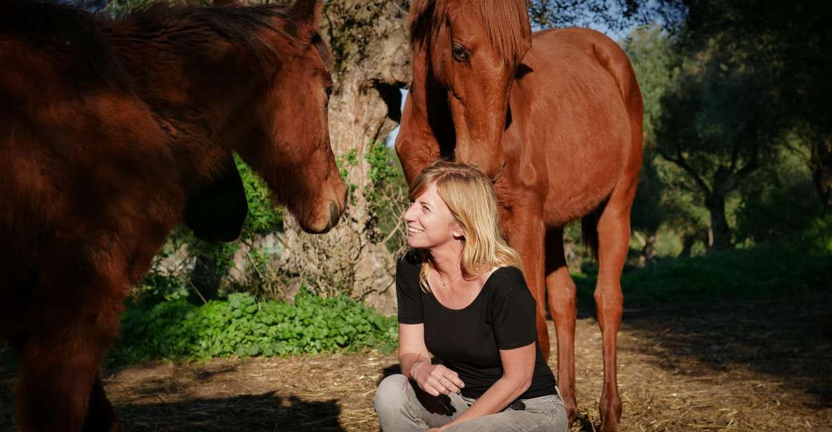 Relax & Mindfulness With Horses in Vejer De La Frontera - The Role of Horses in Mindfulness
