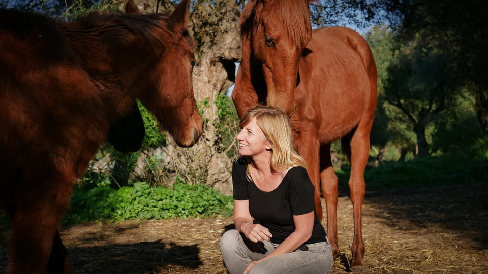 Relax & Mindfulness With Horses in Vejer De La Frontera - Benefits of Mindfulness Practices