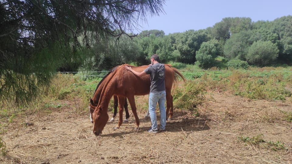 Relax & Mindfulness With Horses in Vejer De La Frontera - Essential Preparation and Gear