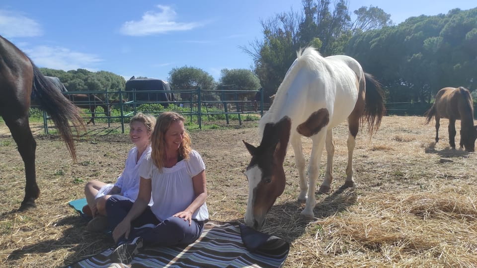Relax & Mindfulness With Horses in Vejer De La Frontera - Additional Information and Policies