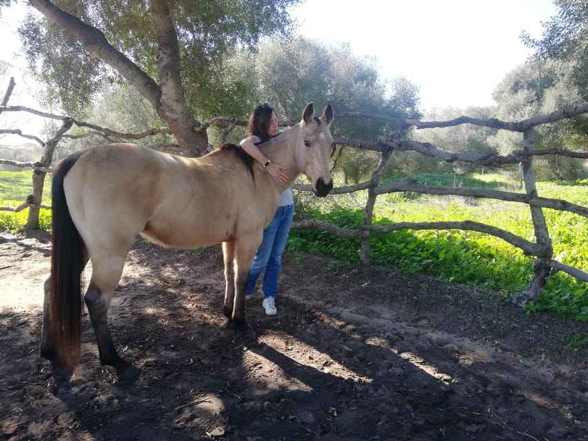 Relax & Mindfulness With Horses in Vejer De La Frontera - Things To Know