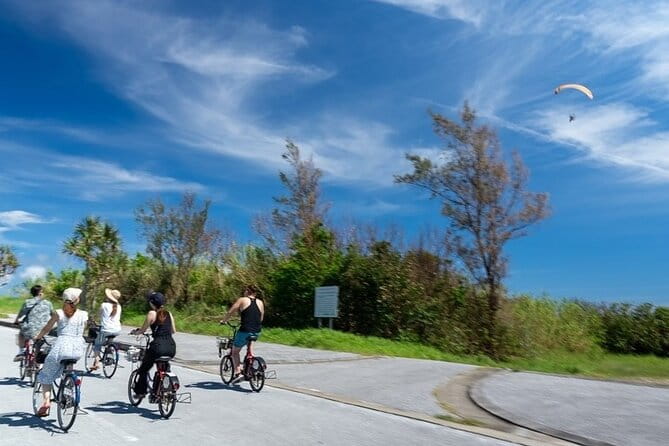 Remote Island Ryukyu Culture Experience Tour in Okinawa - Health and Safety Considerations