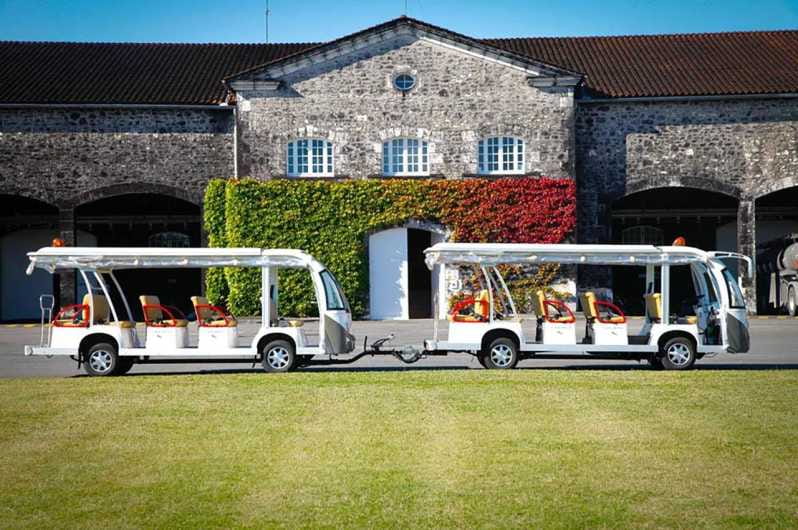 Rémy Martin Discover the production site by train - Who Should Consider This Tour?