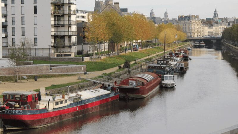 Rennes gourmet food walking tour : Taste Britanny's flavors - Who Will Love This Tour?