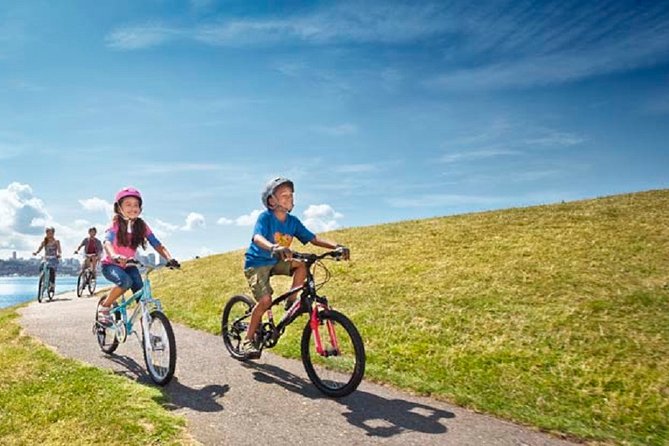 Rent City Bike Optional Baby Seat or Child Bike :Visit Maspalomas - Meeting Point and Logistics