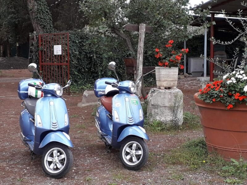 RENTA A VESPA - Key Points / Takeaways
