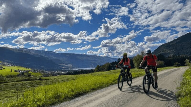 Rentals | Mountain Bike - Full Suspension - Who Will Love This Experience?