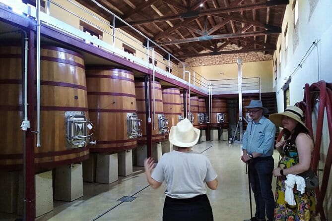 Requena Half-Day Private Vineyards & Premium Wine Tastings Tour - Exploring Sierra Norte & Other Wineries