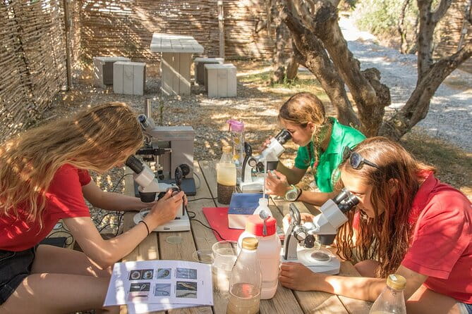Research diving with a Marine Biologist in Crete - The Practicalities: What to Expect