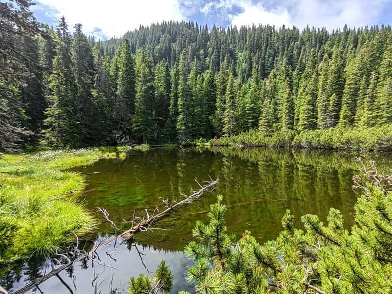 Retezat National Park: Full day hike from Cluj Napoca - Key points / Takeaways