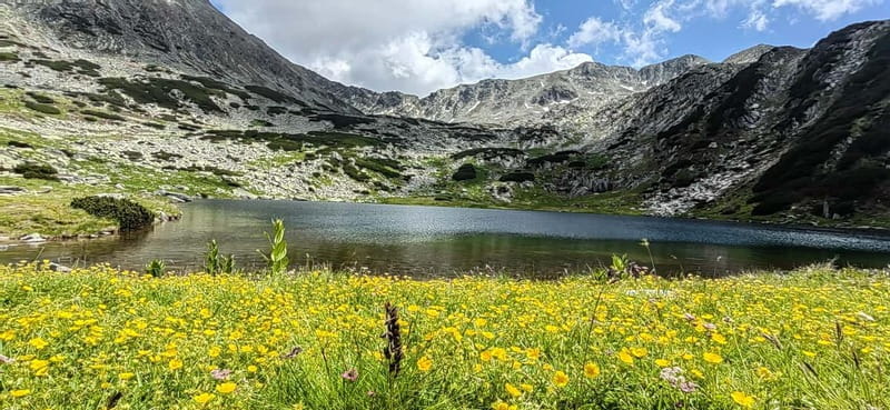 Retezat National Park: Full day hike from Cluj Napoca - An In-Depth Look at the Retezat National Park Hike from Cluj Napoca