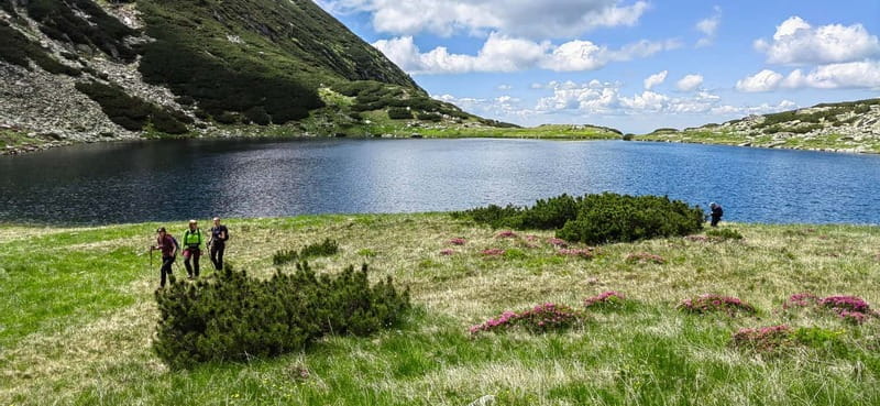 Retezat National Park: Full day hike from Cluj Napoca - Price and value considerations