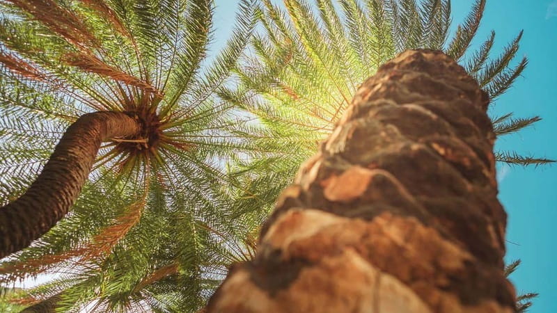 Rethymno Bali/Panormo:Preveli Palm Beach-Waterfall-Monastery - Exploring Crete’s Exotic Landscapes: The Full Itinerary Breakdown